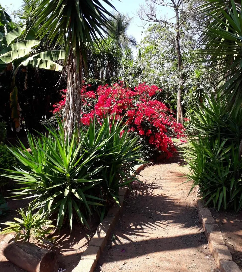 Villa Holambra Recanto Sonho Meu à São Paulo Lodge