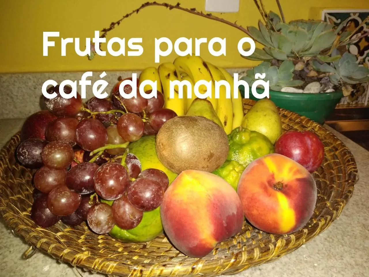 Villa Holambra Recanto Sonho Meu à São Paulo Brésil